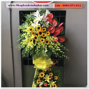 Hoa Tươi Tặng Khai Trương - OK82